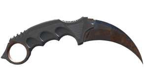 Rust Coat image