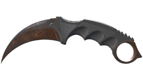 Rust Coat image