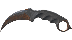 Rust Coat image
