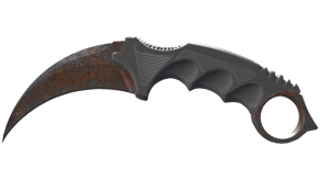 Rust Coat image