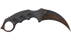 Rust Coat image