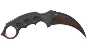 Rust Coat image