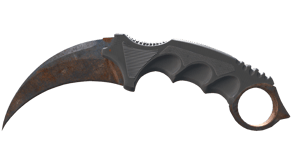 Rust Coat image