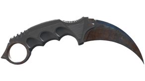 Rust Coat image