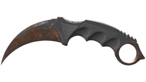 Rust Coat image