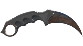 Rust Coat image