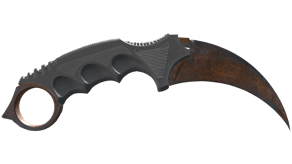 Rust Coat image