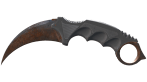 Rust Coat image