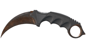 Rust Coat image