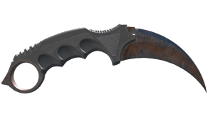 Rust Coat image