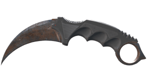 Rust Coat image
