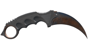 Rust Coat image