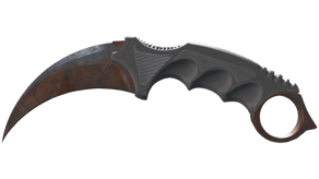 Rust Coat image