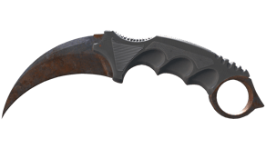 Rust Coat image