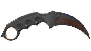 Rust Coat image