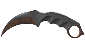 Rust Coat image