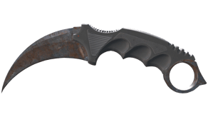 Rust Coat image