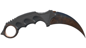 Rust Coat image