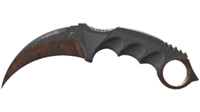 Rust Coat image