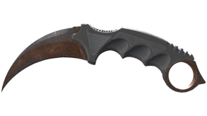 Rust Coat image