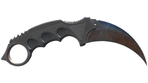 Rust Coat image
