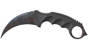 Rust Coat image