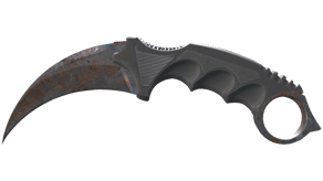 Rust Coat image