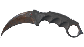 Rust Coat image