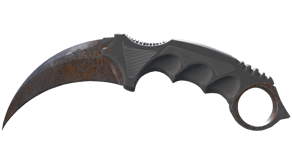Rust Coat image