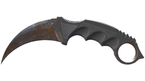 Rust Coat image