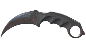 Rust Coat image