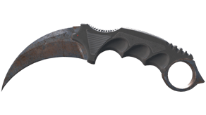 Rust Coat image