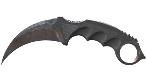 Rust Coat image
