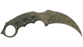 Safari Mesh image