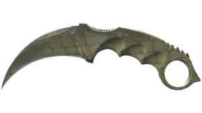 Safari Mesh image