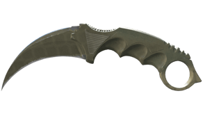 Safari Mesh image