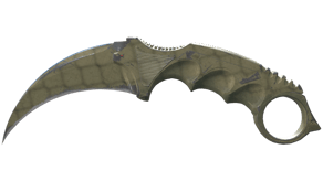 Safari Mesh image