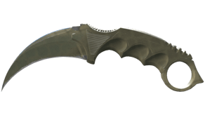 Safari Mesh image