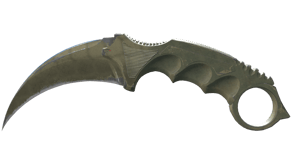 Safari Mesh image