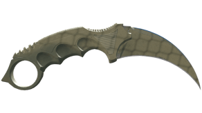 Safari Mesh image