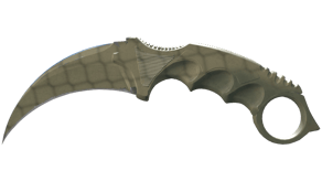 Safari Mesh image