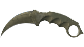 Safari Mesh image