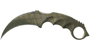Safari Mesh image