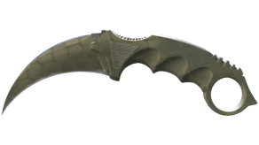 Safari Mesh image