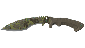 Boreal Forest image