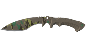 Boreal Forest image