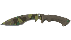 Boreal Forest image