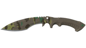 Boreal Forest image