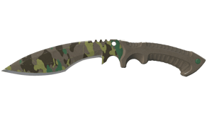 Boreal Forest image