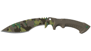 Boreal Forest image